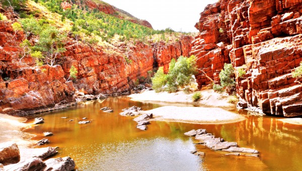 Waterhole - Ormiston Gorge by Lexa Harpell